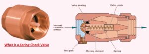 What Is a Spring Check Valve;