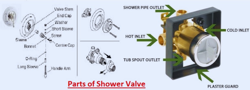 Parts of Shower Valve