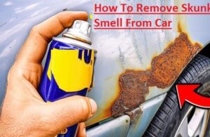 How To Remove Skunk Smell From Car