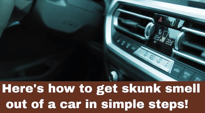 Skunk Smell From Car