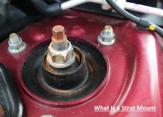 What Is a Strut Mount