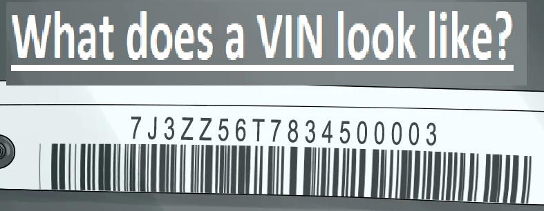 What does a VIN look like