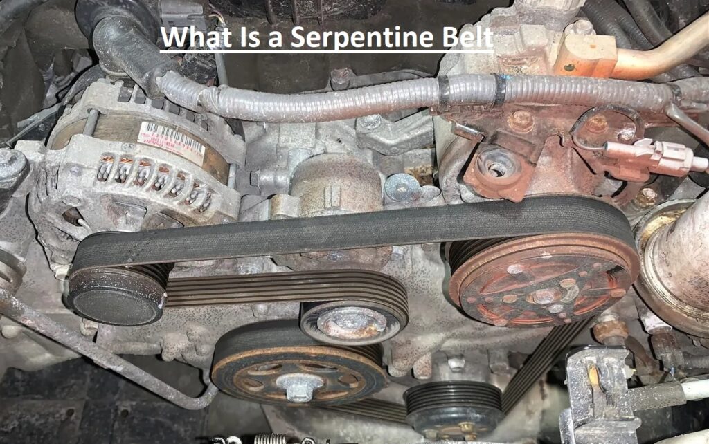 What Is a Serpentine Belt