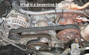 What Is a Serpentine Belt